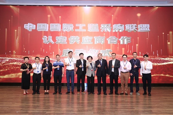 中国国际工程咨询协会