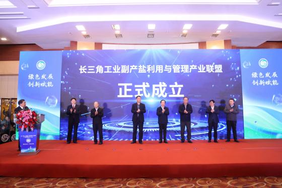 长三角工业副产盐利用与管理产业联盟成立大会在南京成功举行！