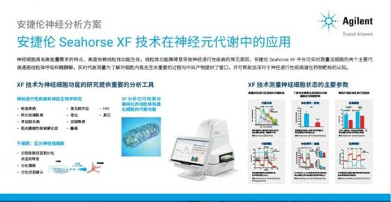 安捷伦BioTek 成像系统软件升级：助您深入了解神经元细胞模型